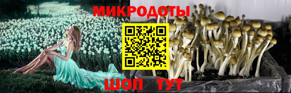 А ПВП Моршанск