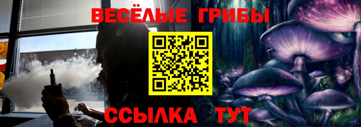 цена   Вход с VPN  Моршанск  Псилоцибиновые грибы прущие грибы  Галлюциногенные грибы мицелий 
